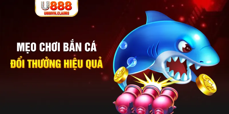 ww88 gà chọi cam ranh