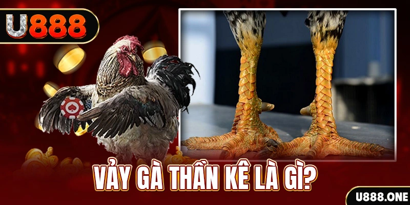 đăng nhập poker khuyến mãi